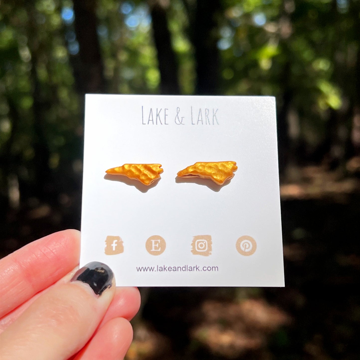 hammered gold north carolina stud earrings gift