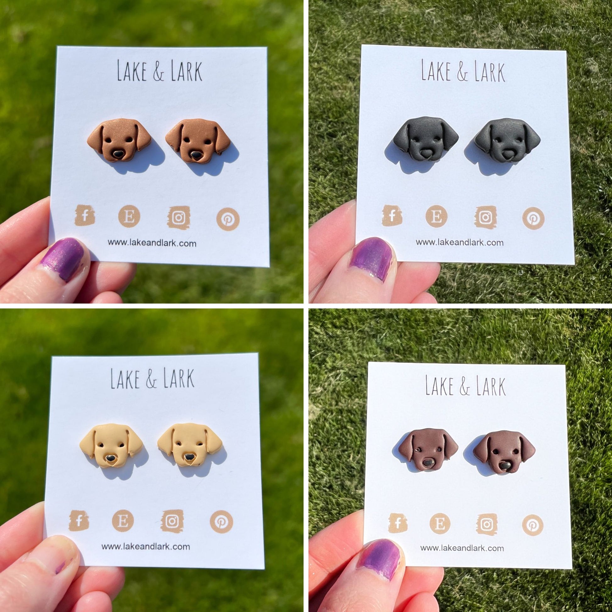 golden retreiver black lab dog stud earrings