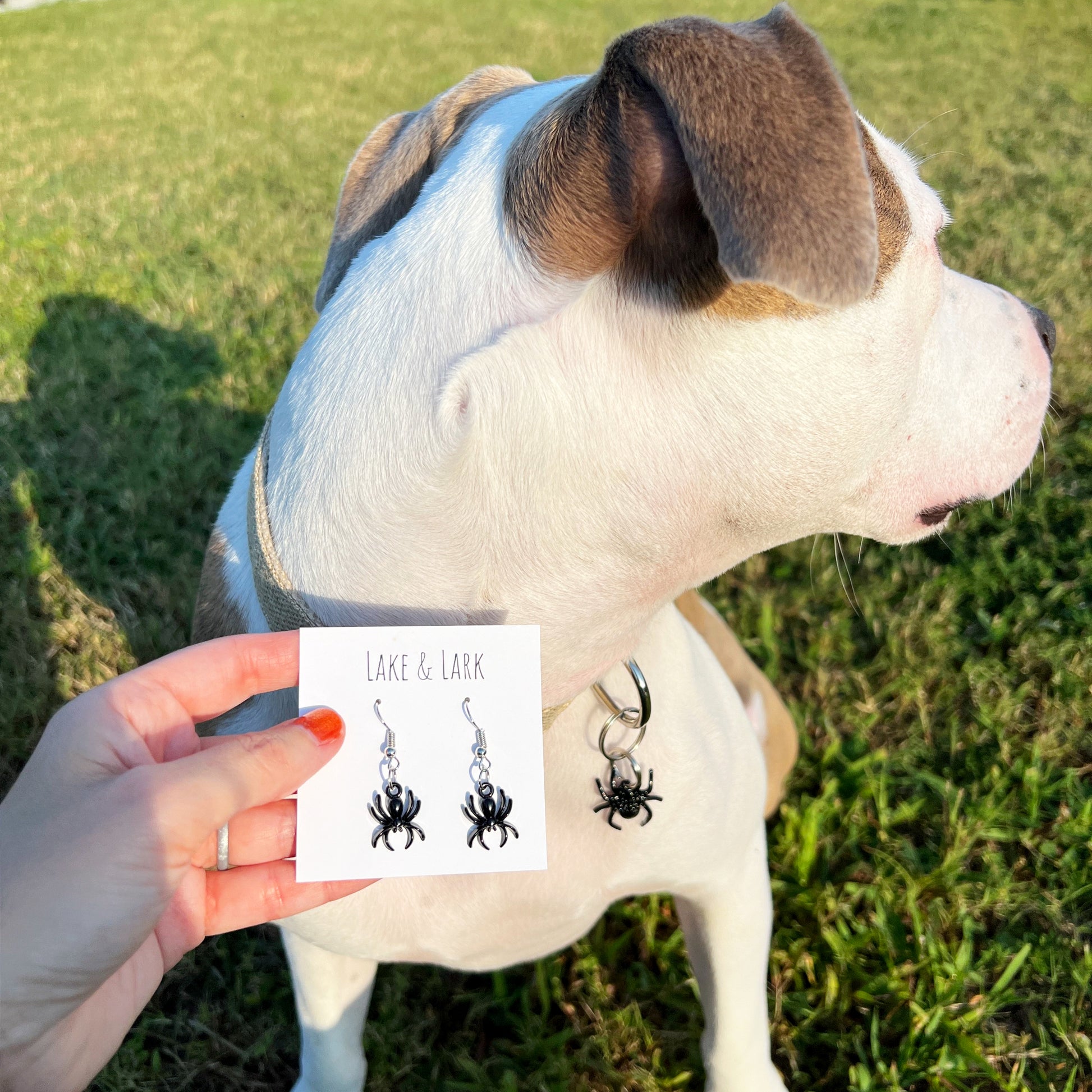 halloween spider earrings matching pet collar charm set