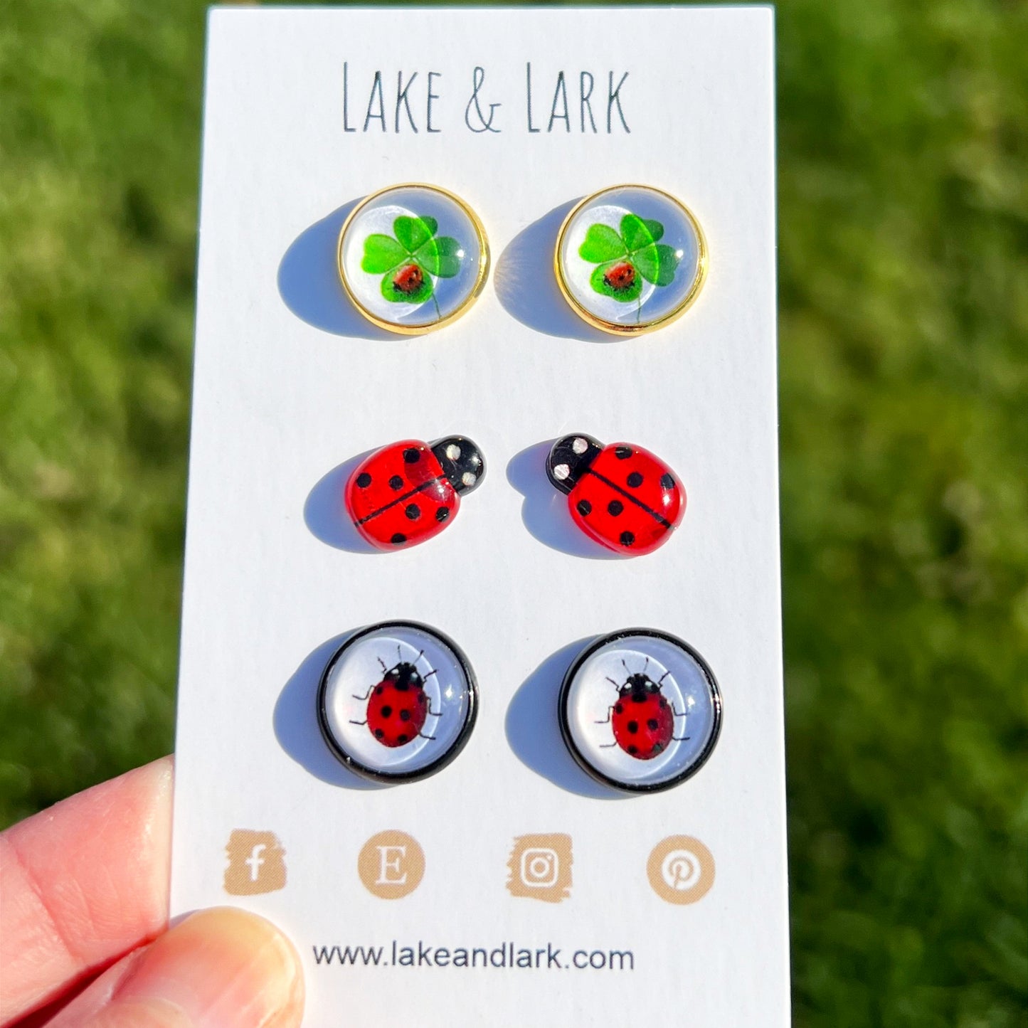 ladybug shamrock st patricks day stud earrings